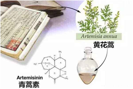 爱游戏网站手机网页版 - 首页,：向中医药看齐，与世界共享中医药文化(图1)